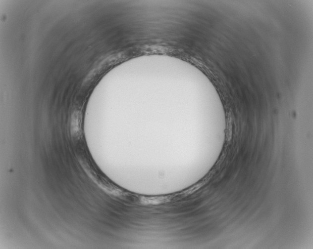 X0000085840706200704132103