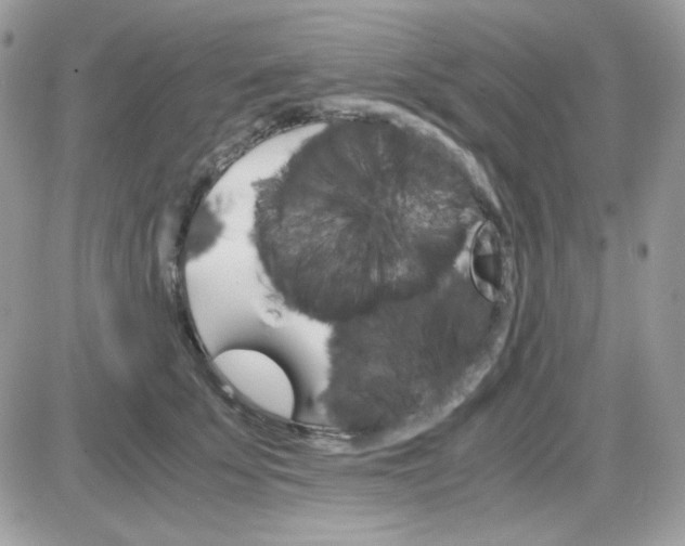 X0000085840707200704132103