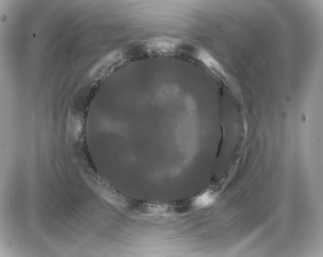 X0000085840709200704132103