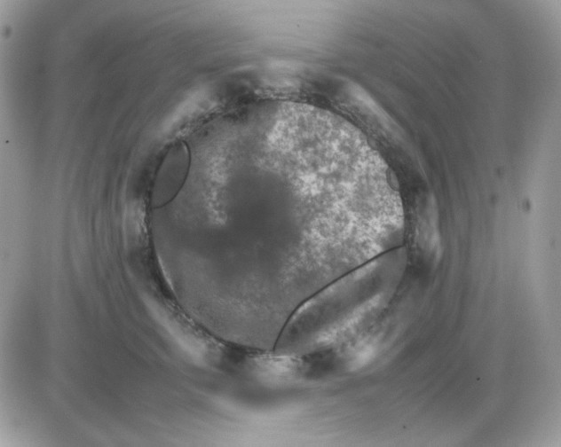 X0000085840711200704132103