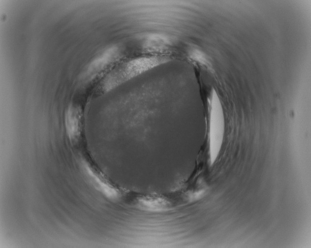 X0000085840712200704132103