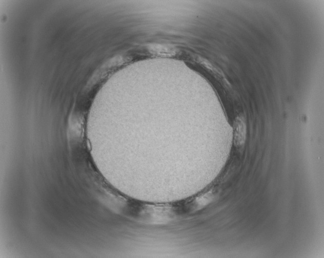 X0000085840713200704132103