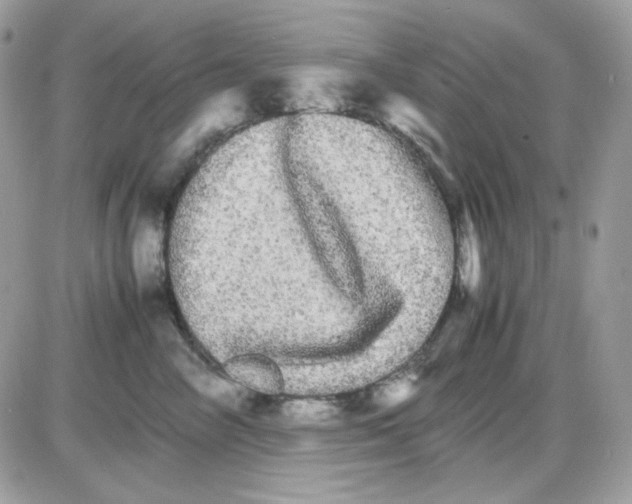 X0000085840714200704132103