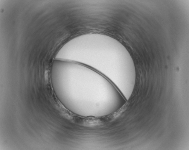 X0000085840716200704132103