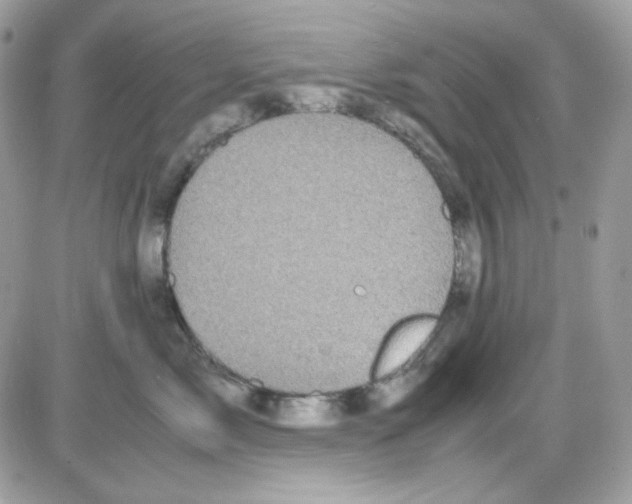 X0000085840717200704132103