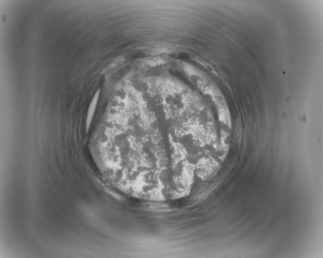 X0000085840719200704132103