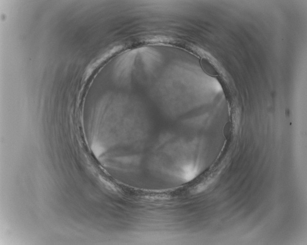 X0000085840721200704132102