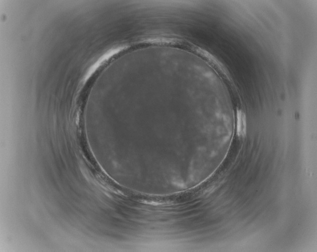 X0000085840723200704132102