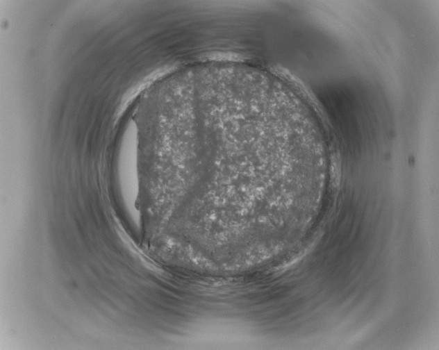 X0000085840725200704132102