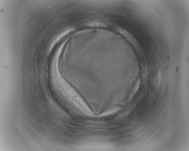 X0000085840727200704132103