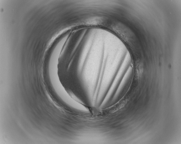 X0000085840728200704132103