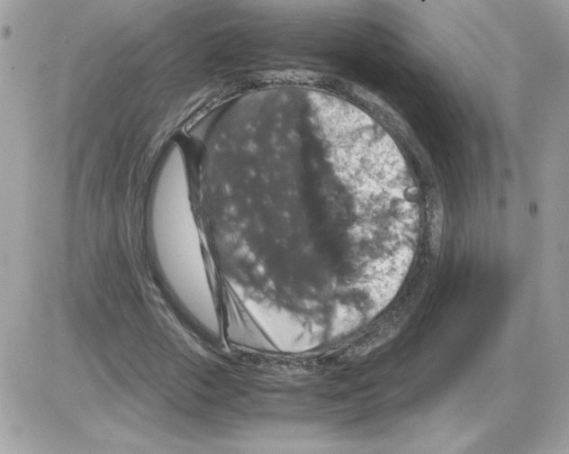 X0000085840729200704132103