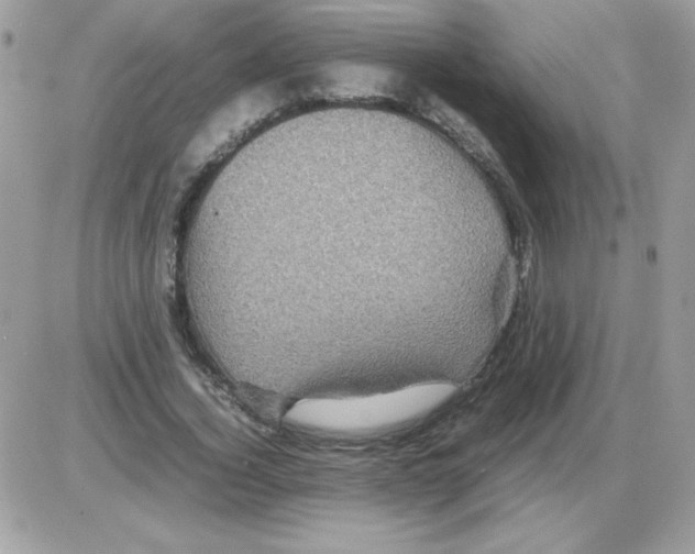 X0000085840732200704132103