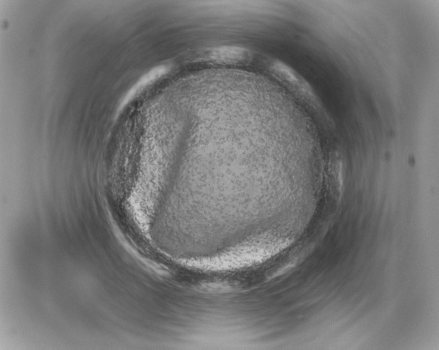 X0000085840734200704132103