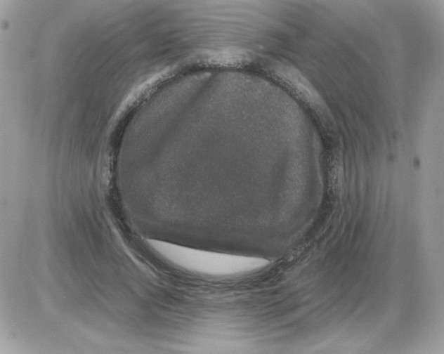 X0000085840736200704132103