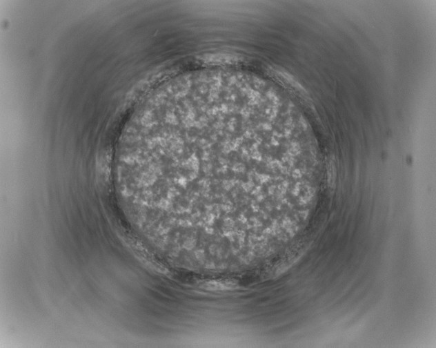 X0000085840737200704132103