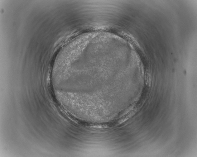 X0000085840740200704132103