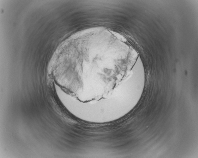 X0000085840741200704132103