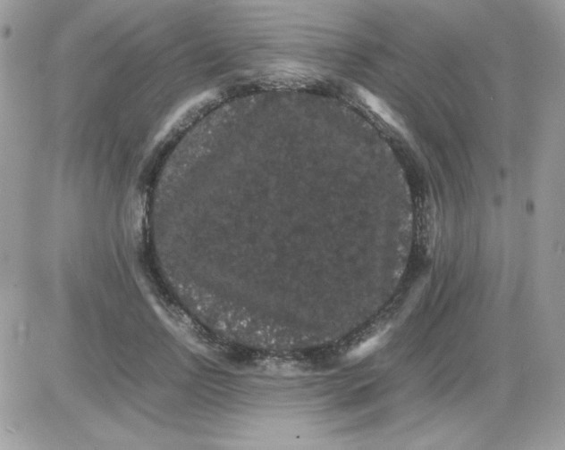 X0000085840742200704132103