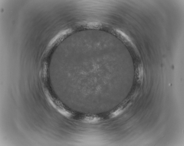 X0000085840744200704132103