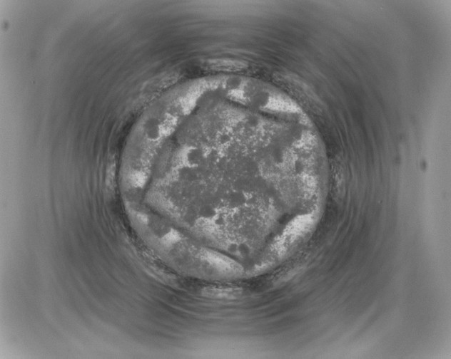 X0000085840745200704132103