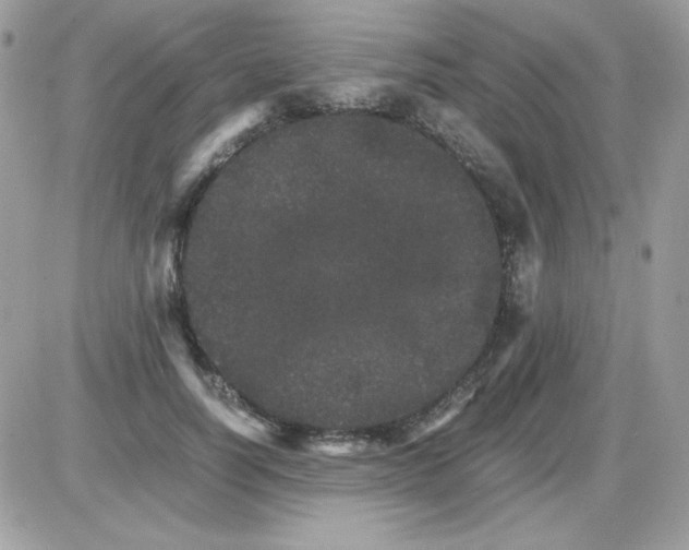 X0000085840746200704132103