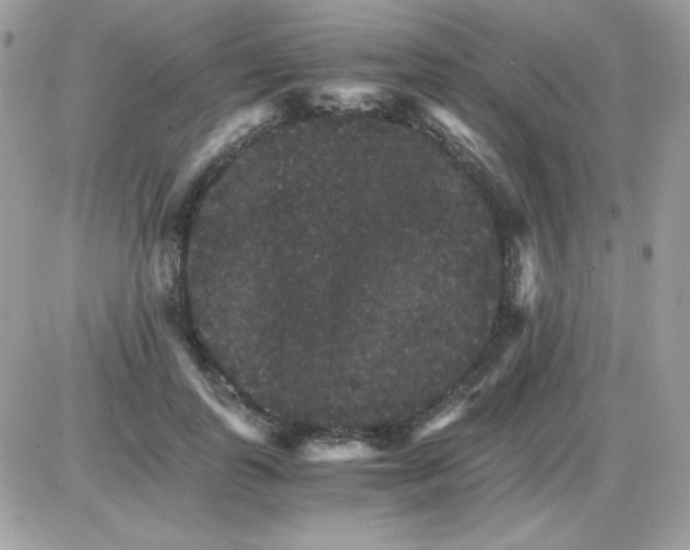 X0000085840747200704132103