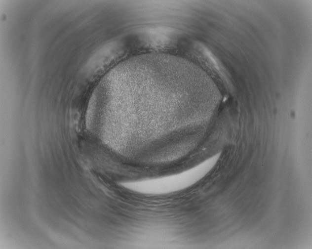 X0000085840750200704132103