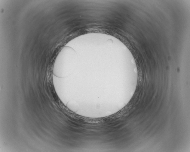 X0000085840751200704132103