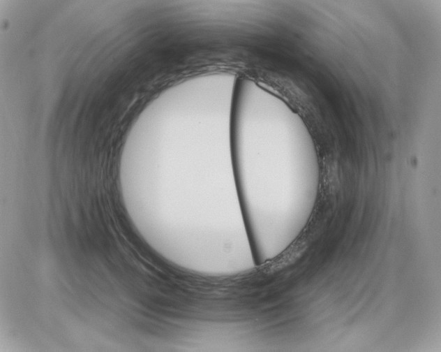 X0000085840752200704132103