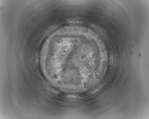 X0000085840753200704132103