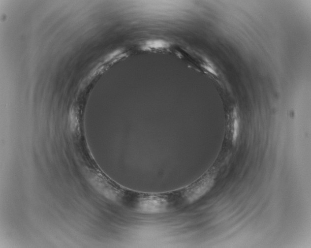 X0000085840754200704132103