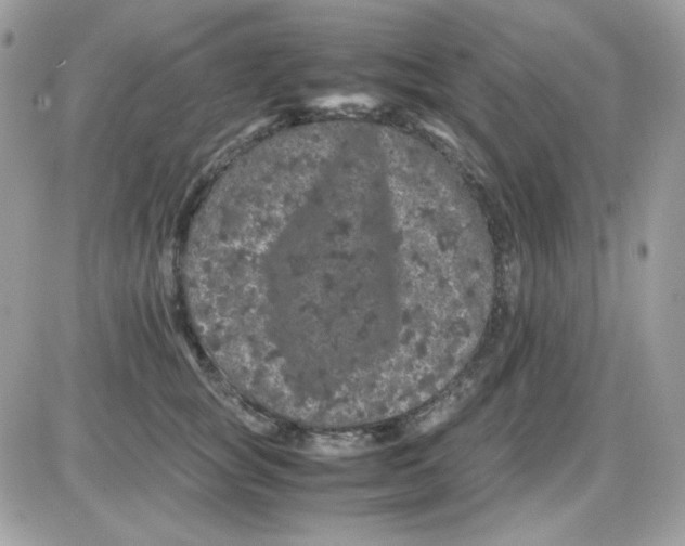 X0000085840757200704132103