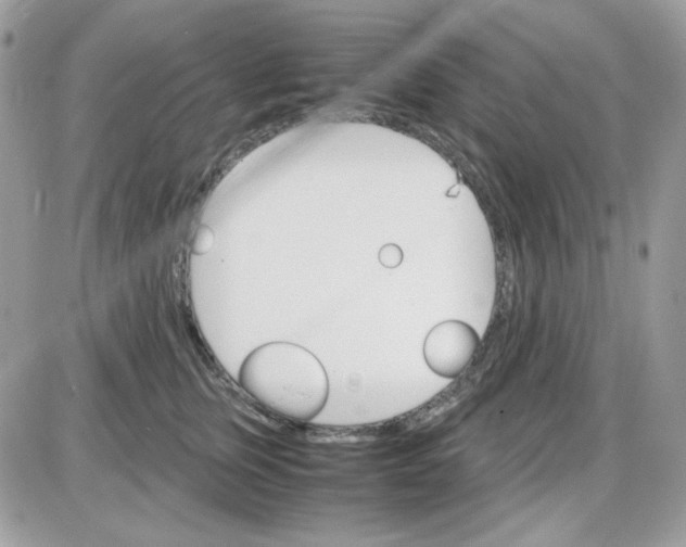 X0000085840759200704132103