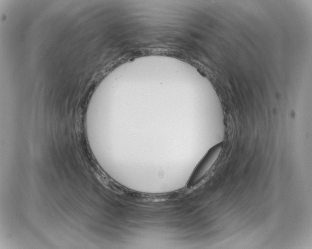 X0000085840760200704132103