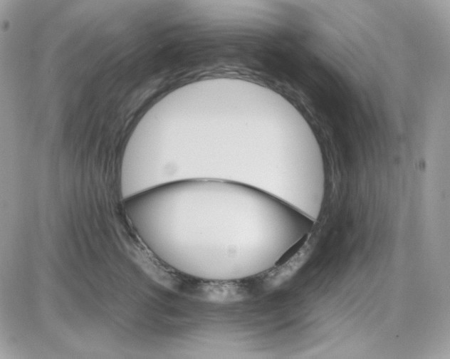 X0000085840762200704132103