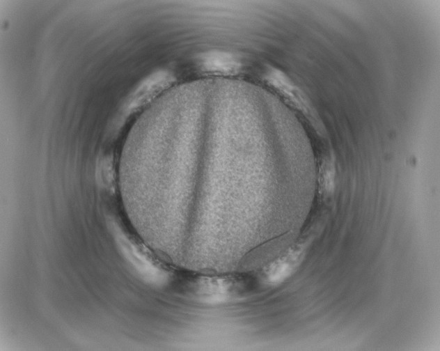 X0000085840764200704132103