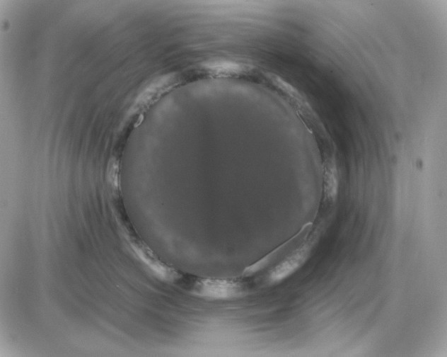 X0000085840766200704132103