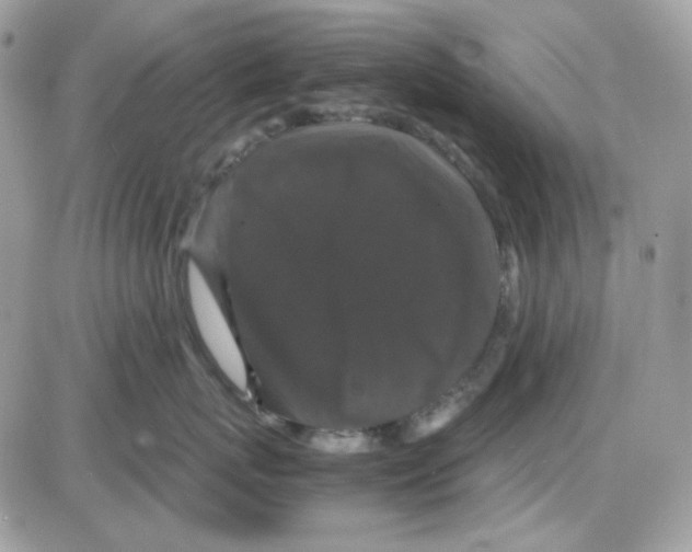 X0000085840767200704132103