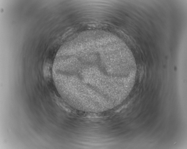 X0000085840770200704132102