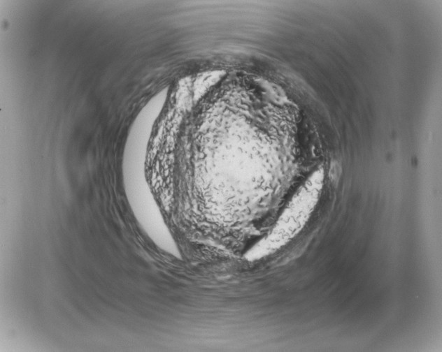 X0000085840771200704132102