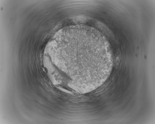 X0000085840772200704132102