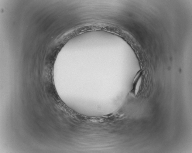 X0000085840773200704132102