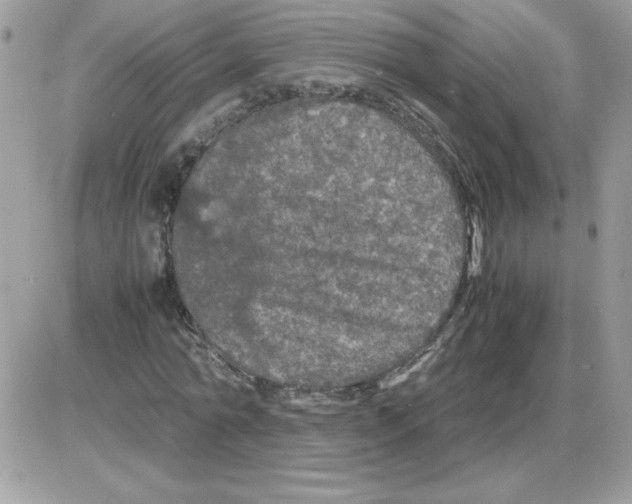 X0000085840774200704132102