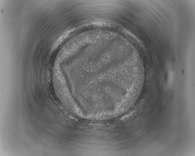 X0000085840776200704132102