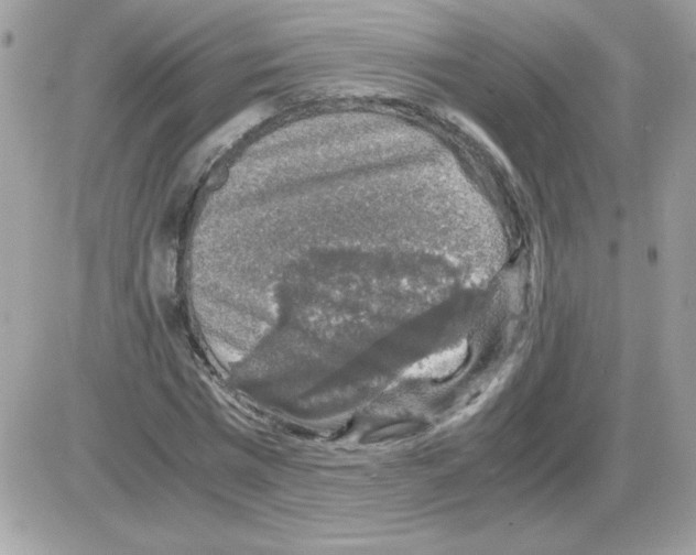 X0000085840777200704132102