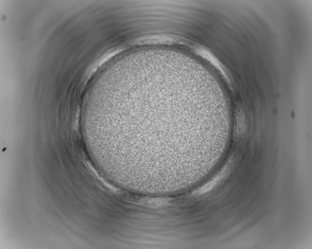 X0000085840778200704132102