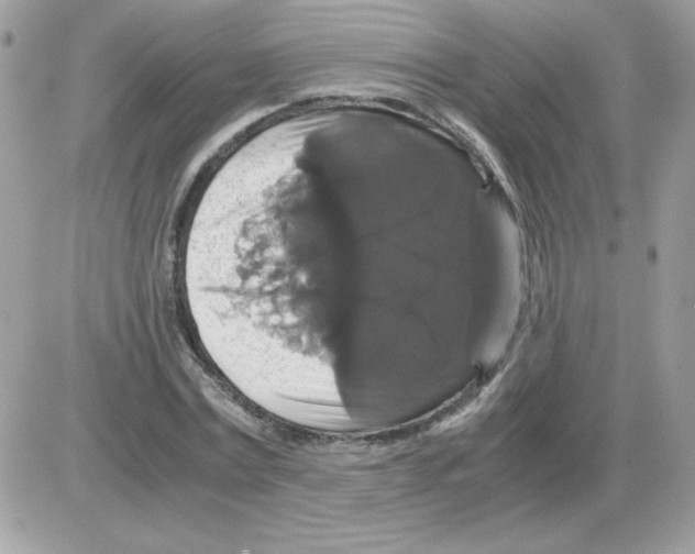 X0000085840779200704132102