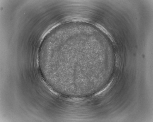 X0000085840782200704132102