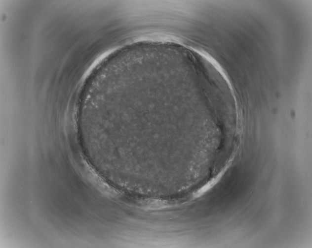 X0000085840783200704132102